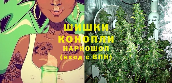 молекула духа Бородино