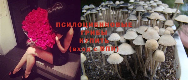 сатива Бронницы